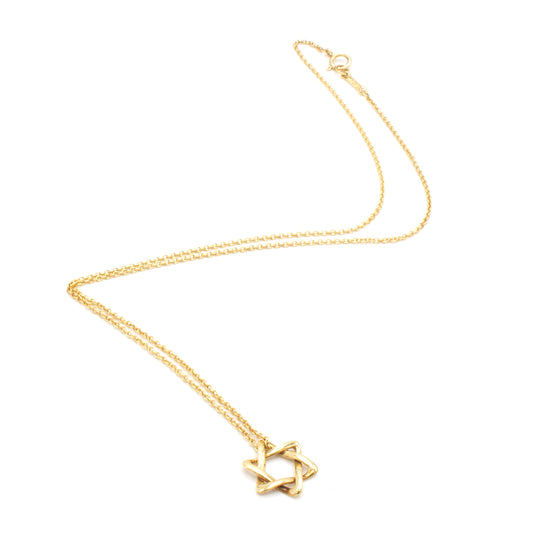 Tiffany & Co David Star 18K necklace